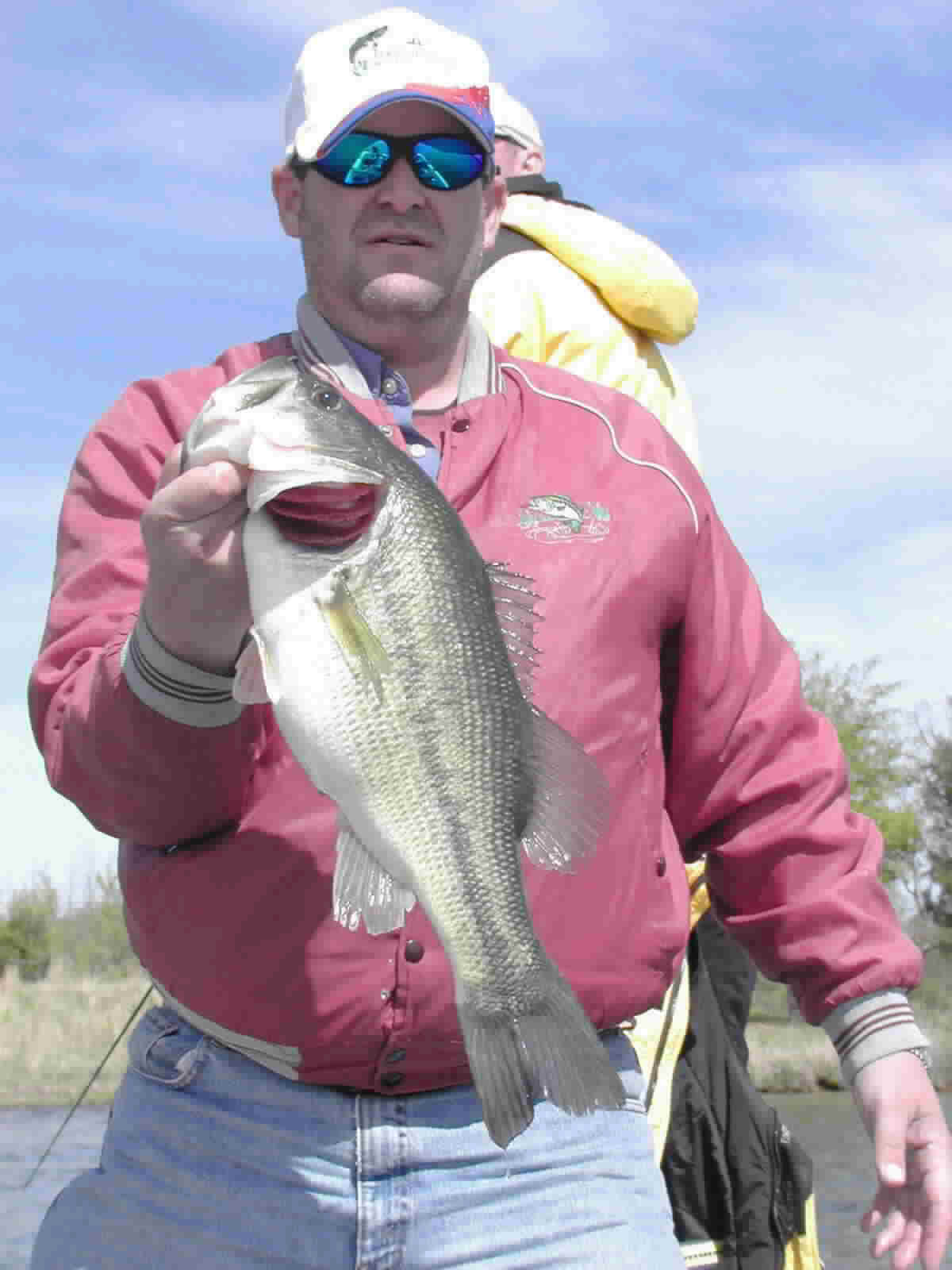 Bass-01.jpg (67926 bytes)