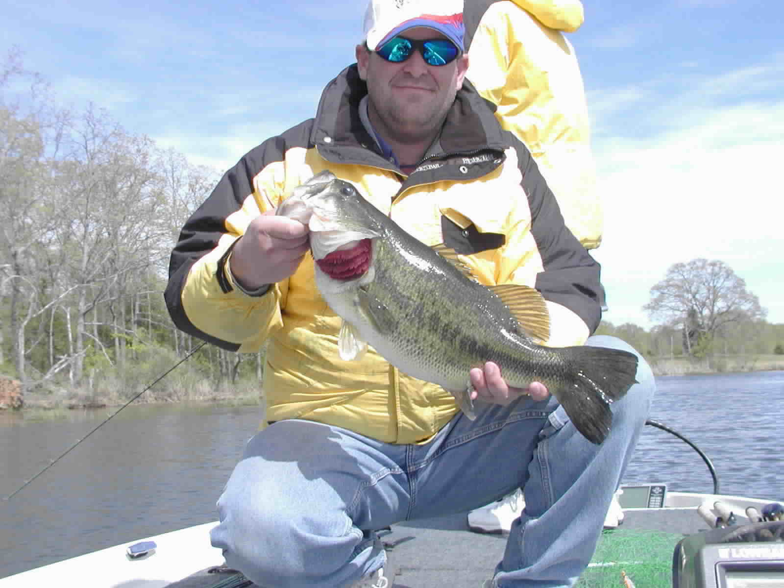 Bass-02.jpg (90647 bytes)