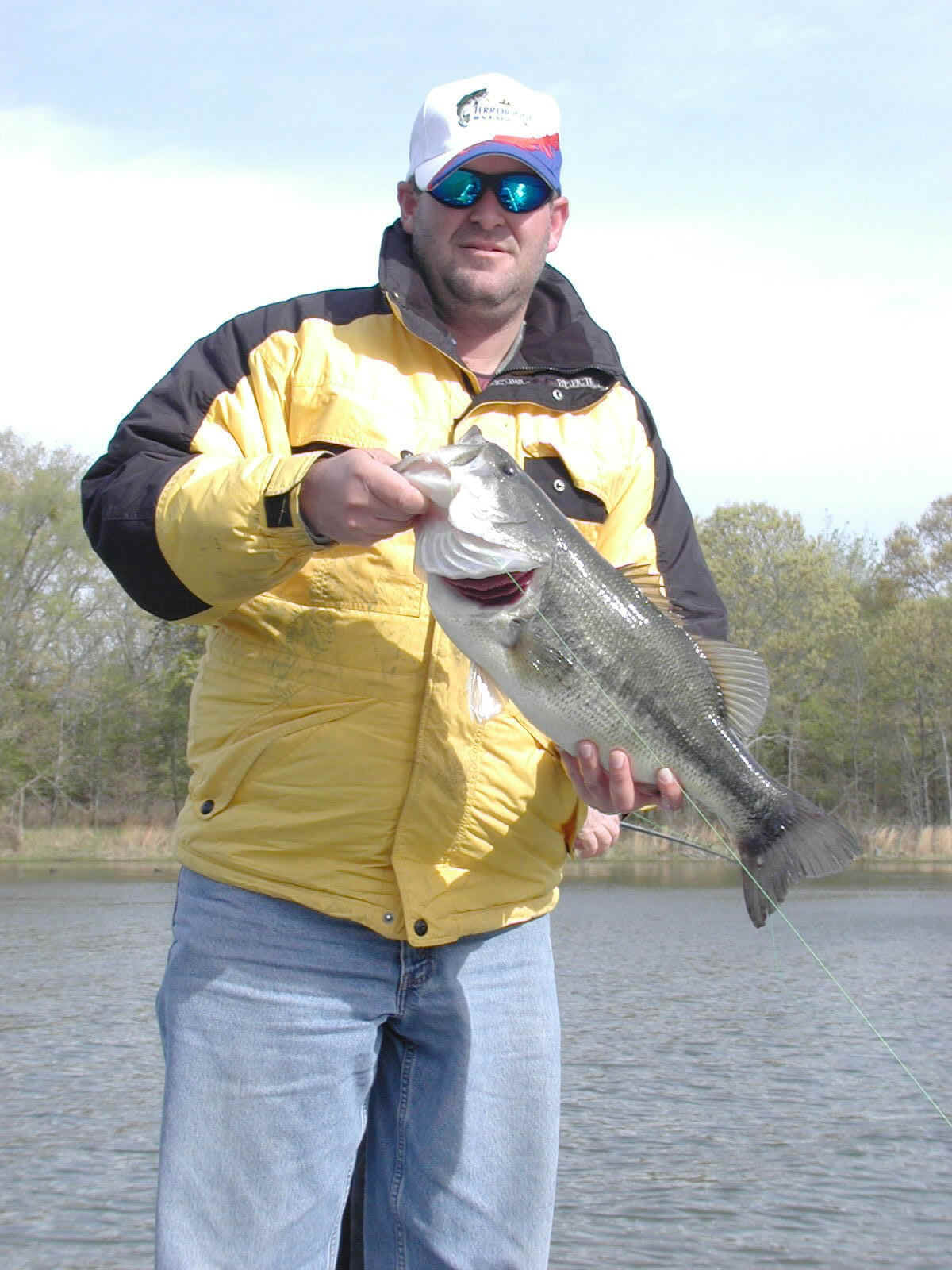 Bass-03.jpg (243798 bytes)