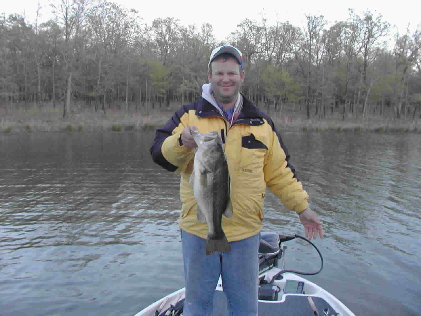 Bass-04.jpg (75740 bytes)