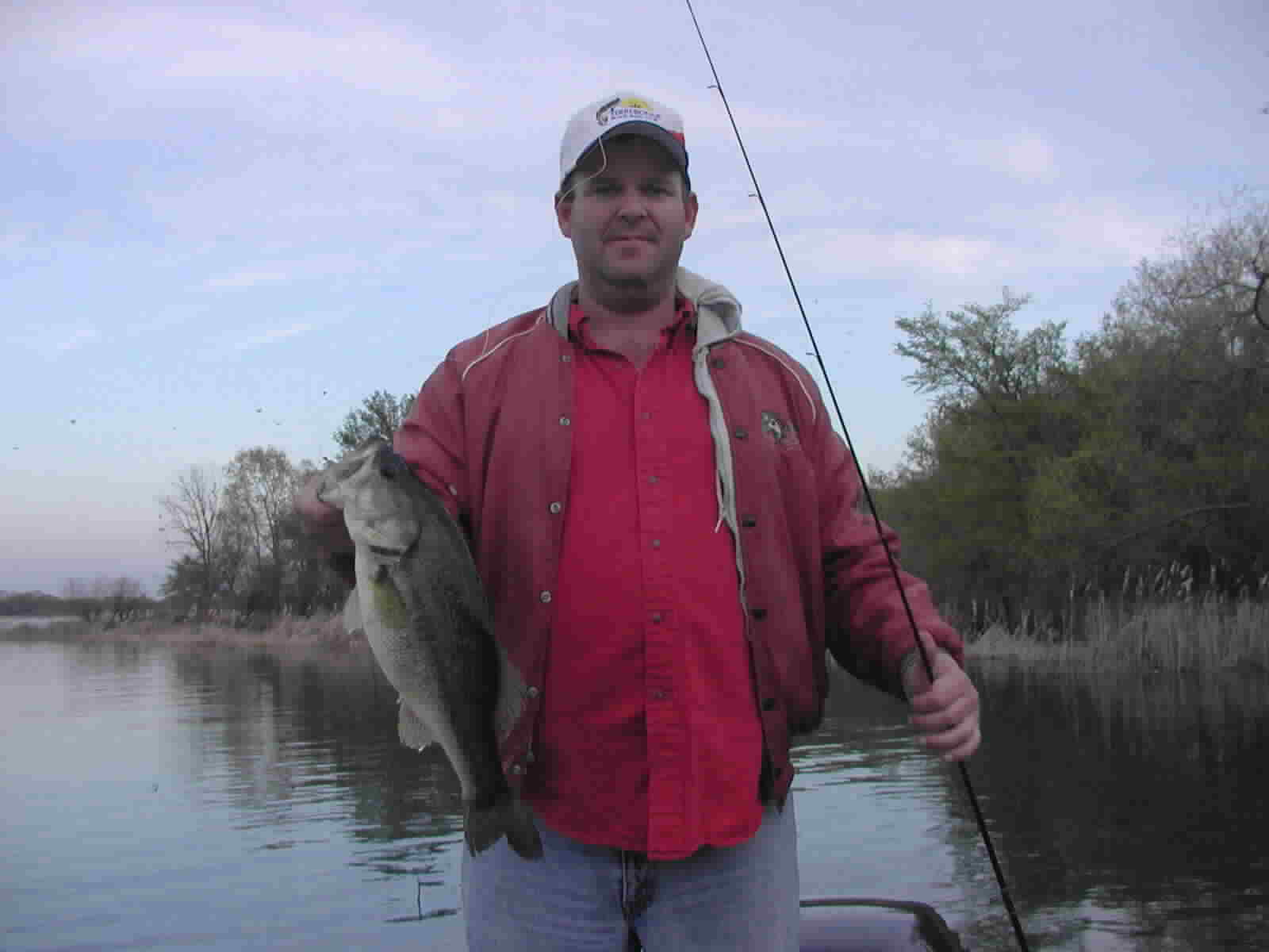 Bass-05.jpg (55095 bytes)