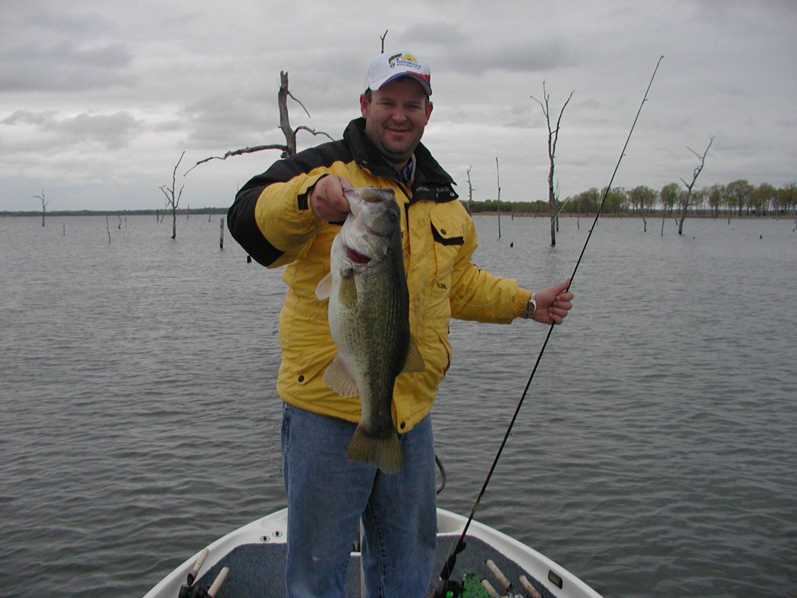 Dan_Bass2.jpg (166532 bytes)