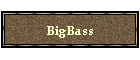 BigBass